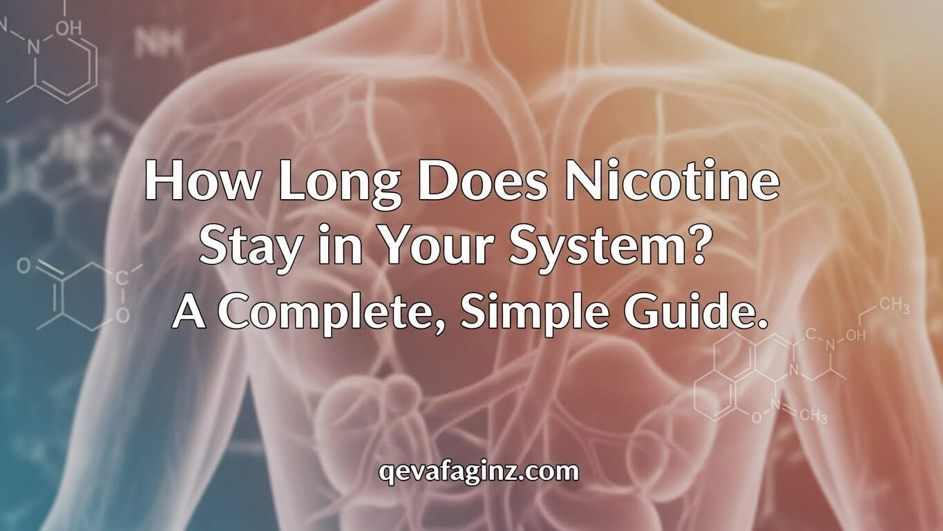 How Long Does Nicotine Stay in Your System