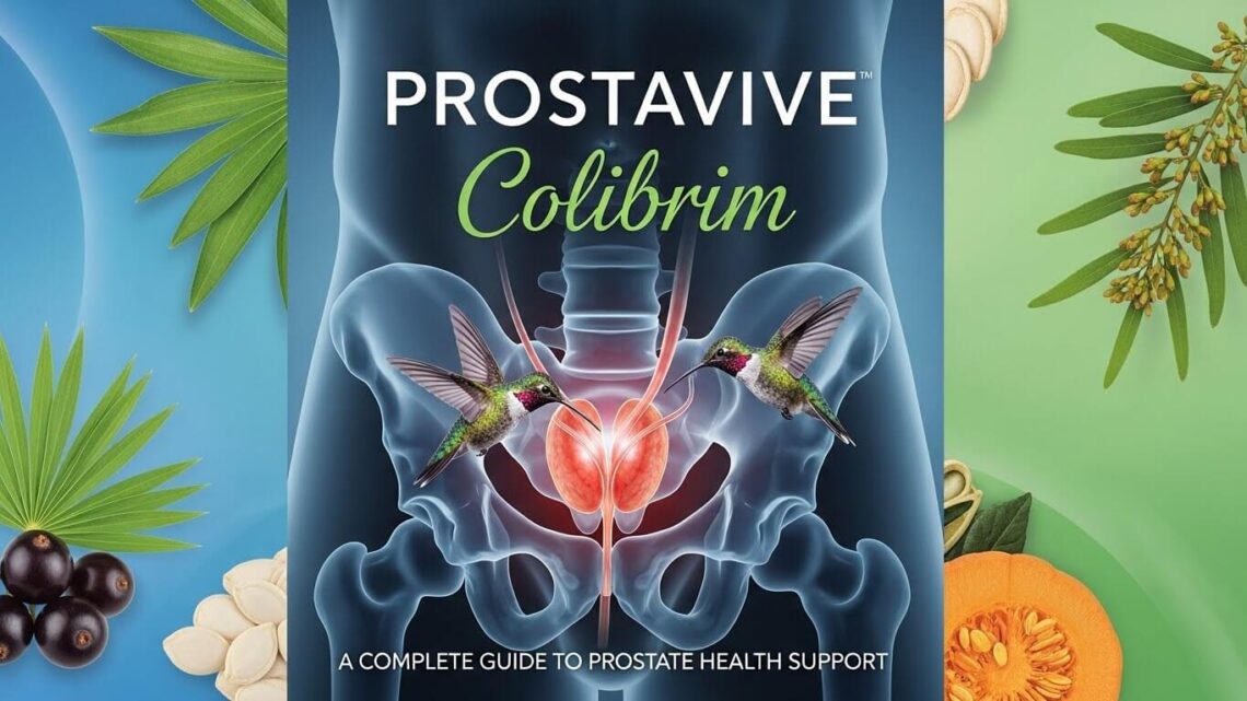 Prostavive Colibrim
